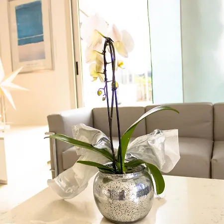 Marittimo 3* Riccione