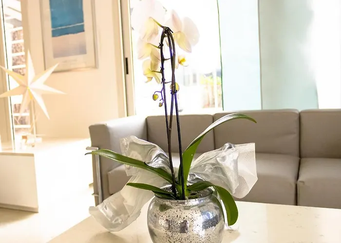 Marittimo 3* 리치오네